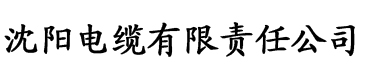 草莓视频APP18禁电缆厂logo